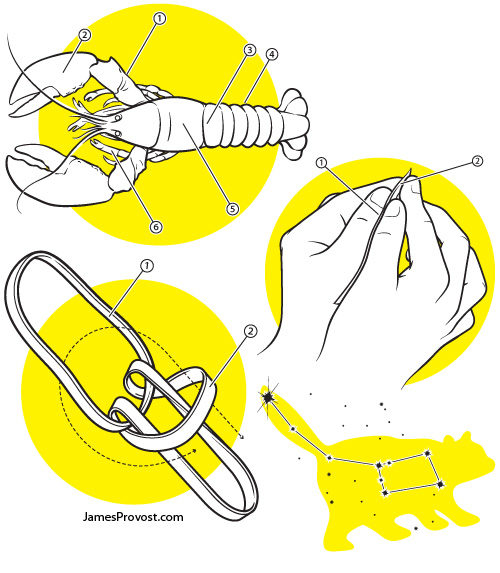 How-To Illustrations