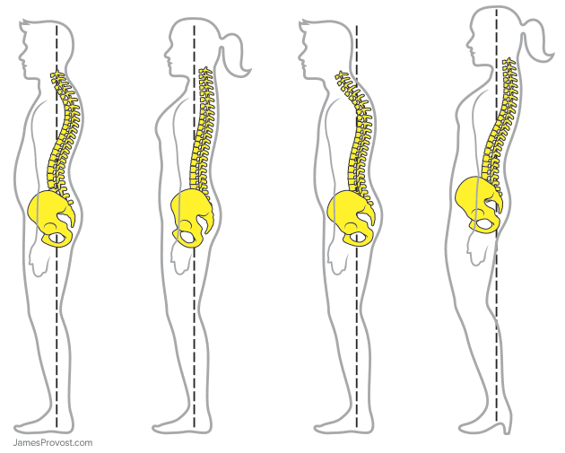 Proper Posture Spine Illustration